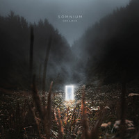 Somnium - Dreamer