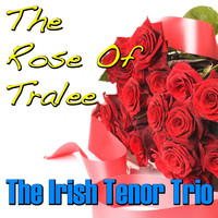 The Irish Tenor Trio - The Rose of Tralee