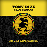 Tony Dize - Mucha Experiencia
