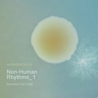 Interspecifics - Non-Human Rhythms 1