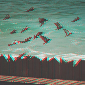 Colibri - No Borders