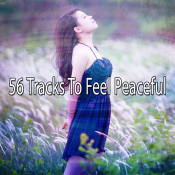 Zen Meditation and Natural White Noise and New Age Deep Massage - 56 Tracks To Feel Peaceful