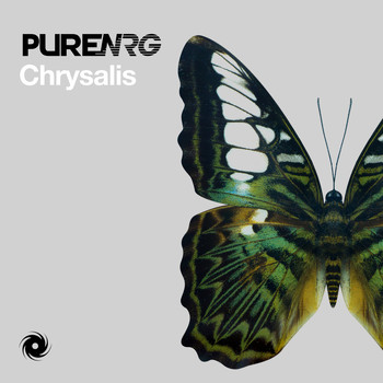 pureNRG - Chrysalis