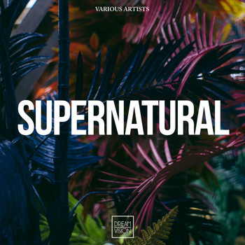 Various Artists - Supernatural
