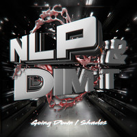Nlp - Going Down / Shades