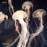 Dhurgham - Jellyfish