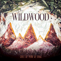 Wildwood - What We Think We Know