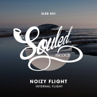Noizy Flight - Internal Flight