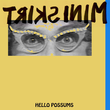 Mini Skirt - Hello Possums (Explicit)