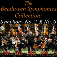 Sinfonia Varsovia - The Beethoven Symphonies Collection: Symphonies No. 2 & No. 6