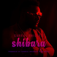 Gabriel Bhiggest - Shibara