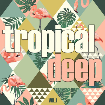 Various Artists - Tropical Deep, Vol. 1