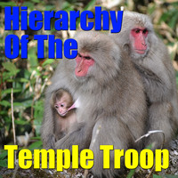 Whitecaps Ansamble - Hierarchy Of The Temple Troop