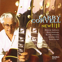 Larry Coryell - New High