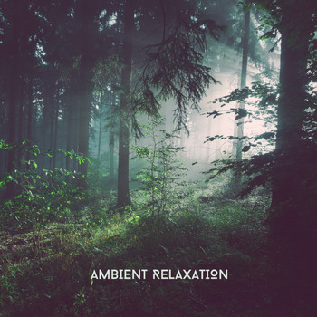 Relaxing Chill Out Music - Ambient Relaxation - Feel At One With Mother Earth