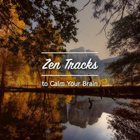 Relaxing Sleep Music, Music for Absolute Sleep, Relaxation Music Guru - 15 Zen Tracks to Calm your Brain
