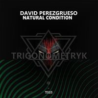 David Perezgrueso - Natural Condition
