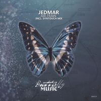 Jedmar - Air Train (incl. Syntouch Remix)