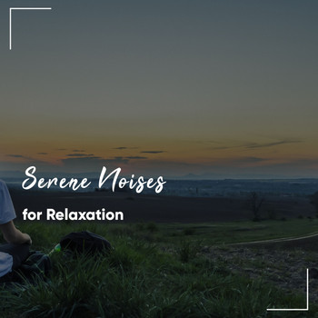 The Sleep Helpers, Serenity for Sleep, Deep Sleep Music Experience - #11 Serene Noises for Relaxation Therapy