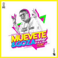 Shagy - Muevete & Goza