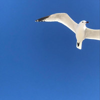 Andrew Taylor - Acoustic, Vol. 1