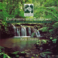 Ken Davis - Environmental Ambience