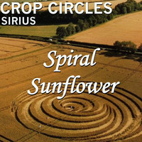 Sirius - Crop Circles: Spiral Sunflower