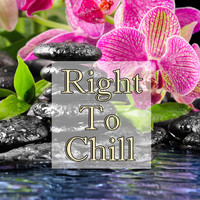 Nature Wonders - Right To Chill