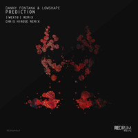 Danny Fontana and Lowshape - Prediction