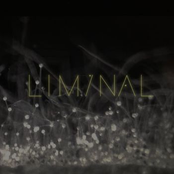 Liminal - Liminal 2