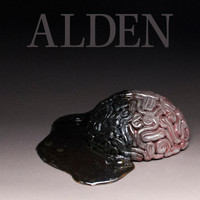 Alden - Everything Was Beautiful and Nothing Hurt