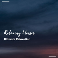 Asian Zen: Spa Music Meditation, Healing Yoga Meditation Music Consort, Zen Meditate - #20 Relaxing Ambience Noises for Ultimate Relaxation