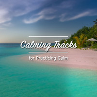 Asian Zen: Spa Music Meditation, Healing Yoga Meditation Music Consort, Zen Meditate - #11 Naturally Calming Tracks for Practicing Calm