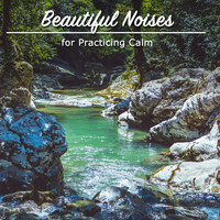 Asian Zen: Spa Music Meditation, Healing Yoga Meditation Music Consort, Zen Meditate - #10 Beautiful Noises for Practicing Calm