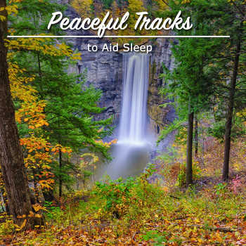 Asian Zen Meditation, Yoga Namaste, Zen - #19 Peaceful Tracks to Aid Sleep