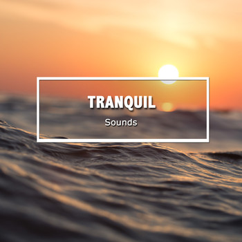 Spa, Spa Music Paradise, Spa Relaxation - #15 Tranquil Sounds to Calm the Mind