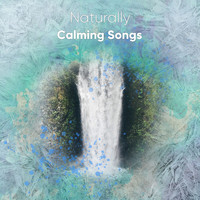Healing Meditation Zone, Relax Meditation Sleep, Namaste Yoga - #18 Naturally Calming Songs to Free the Soul