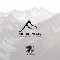 Wayne Williams - No Mountain