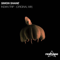 Simon Shane - Indian Trip