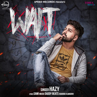 Hazy - Wait
