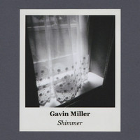 Gavin Miller - Shimmer