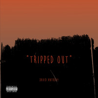 David Anthony - Tripped out