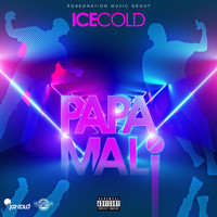 Ice Cold - Papa Mali (Explicit)