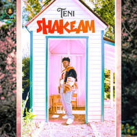 Teni - Shakeam
