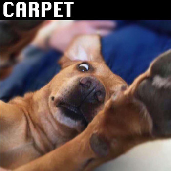 Carpet - Both Feet
