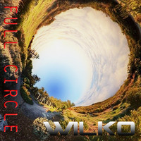 Wilko - Full Circle