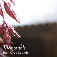 Sleep Sounds of Nature, Nature Sounds, Rain for Deep Sleep - #16 Memorable Rain Drop Sounds for Natural Sleep Aid