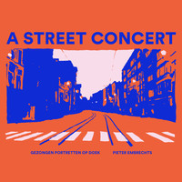 Pieter Embrechts - A Street Concert