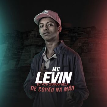 E SO BOTADAO — MC Levin