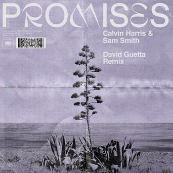 Calvin Harris, Sam Smith - Promises (David Guetta Extended Remix)